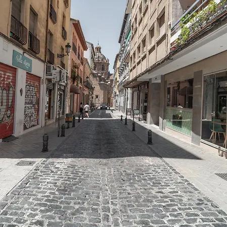 Apartment Tuguest Postigo Ii Catedral - Free Parking Granada